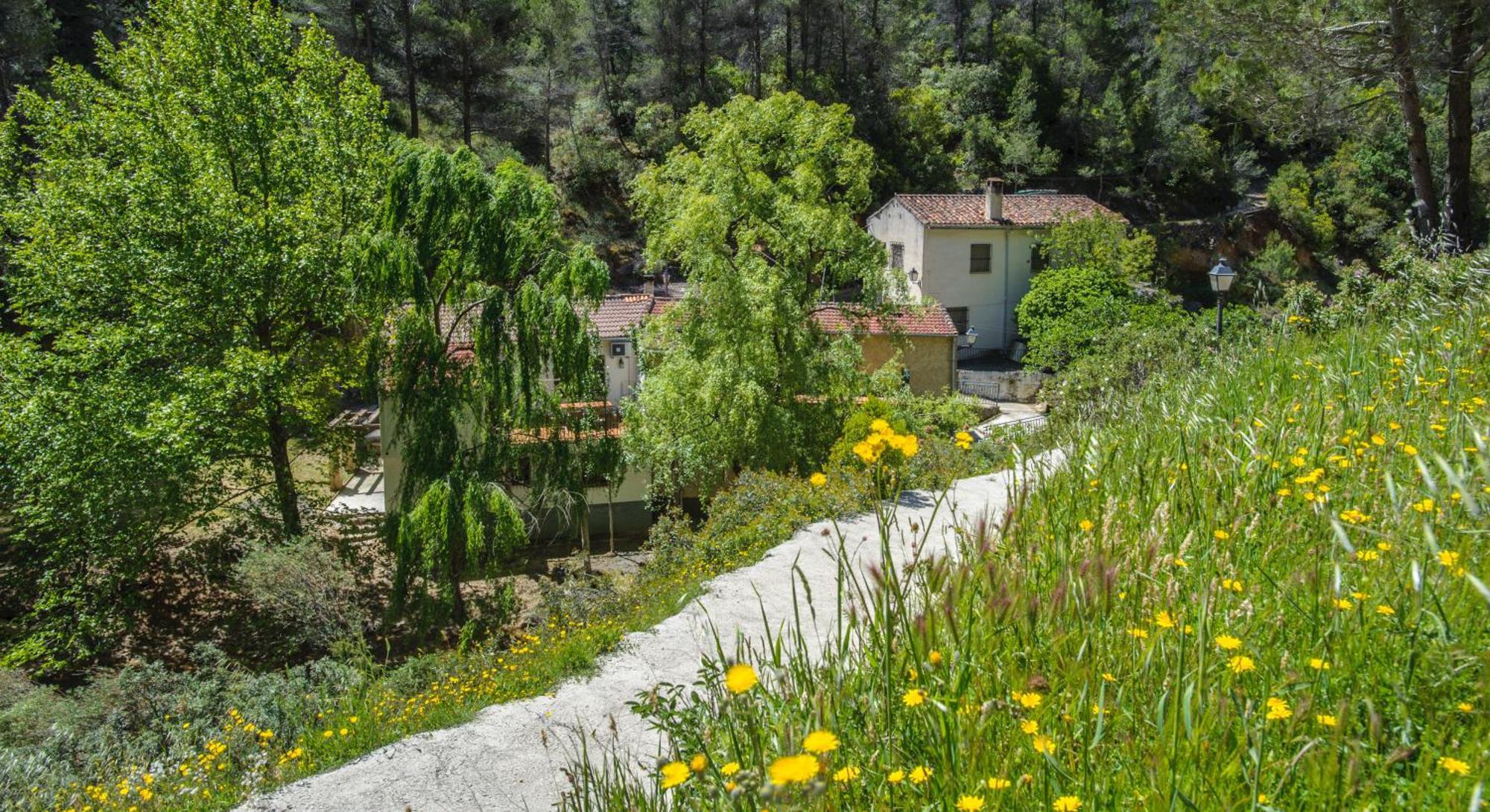 Casa Rural Molino Jaraiz Yeste Exterior foto